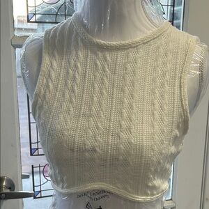 Chic Wite Knit Crop Top